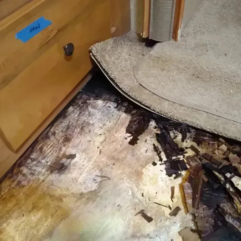 Wood Floor Water Damage in Happy Valley, OR